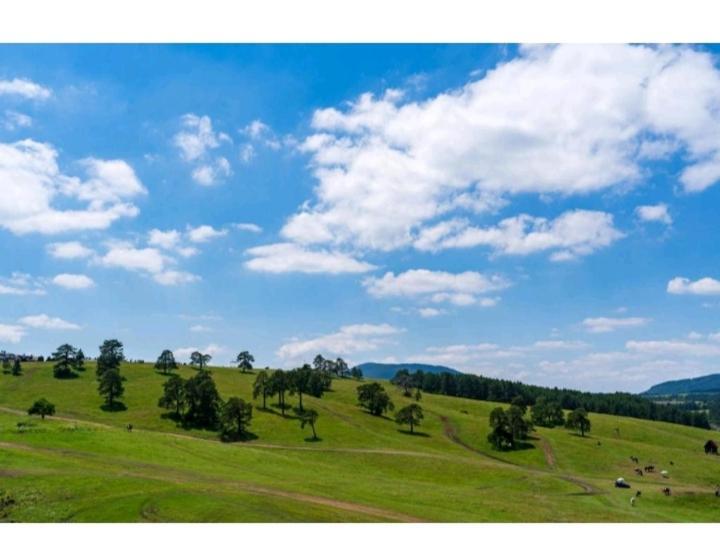 Avantura Studio 1 Zlatibor Kültér fotó