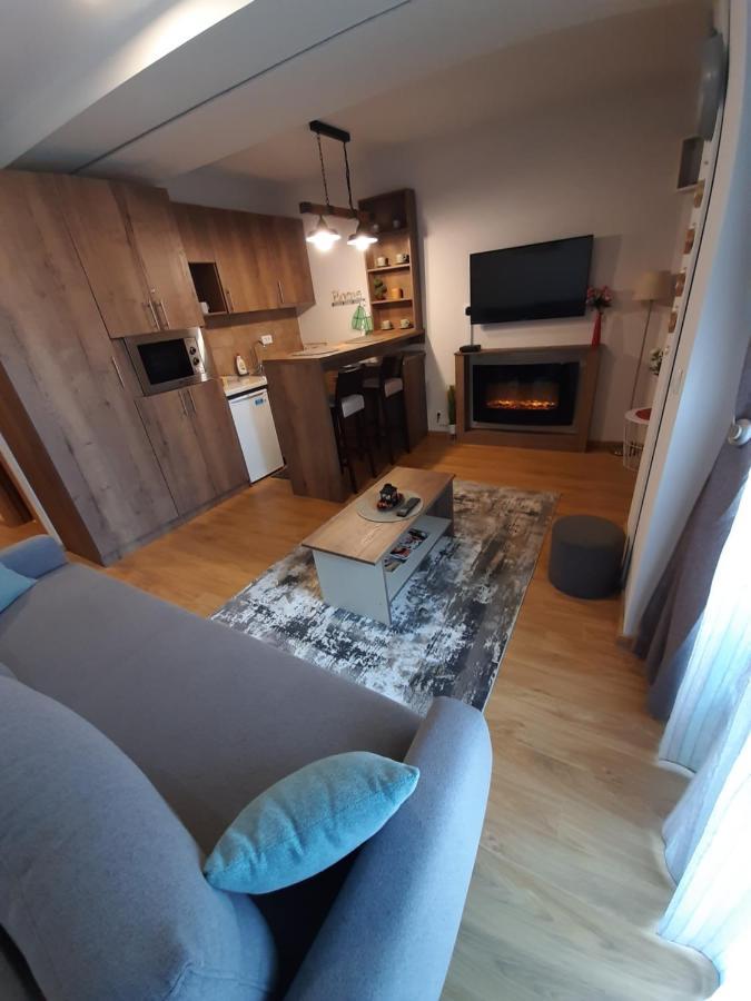 Avantura Studio 1 Zlatibor Kültér fotó