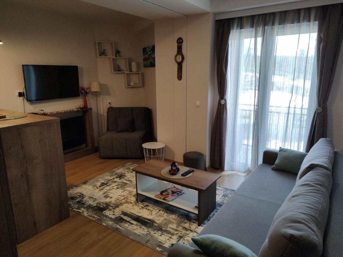 Avantura Studio 1 Zlatibor Kültér fotó